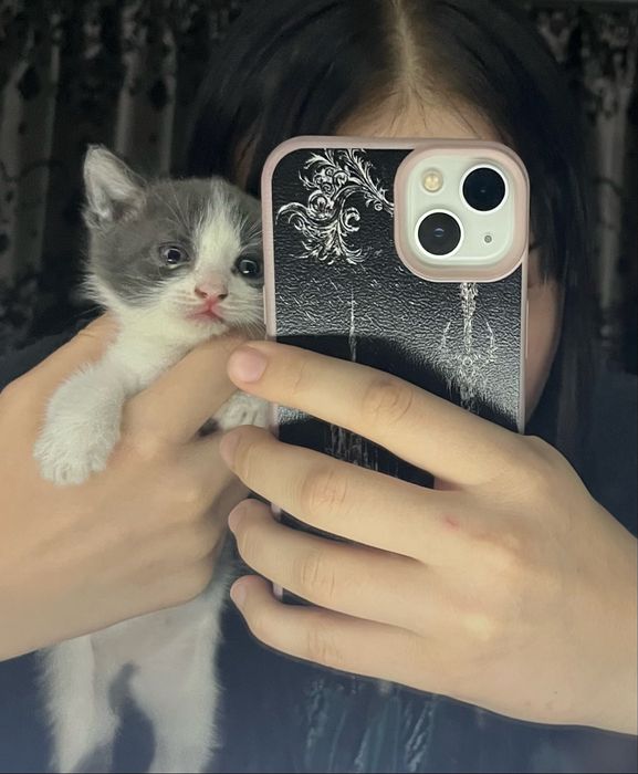 Отдам котят, девочка и мальчик
