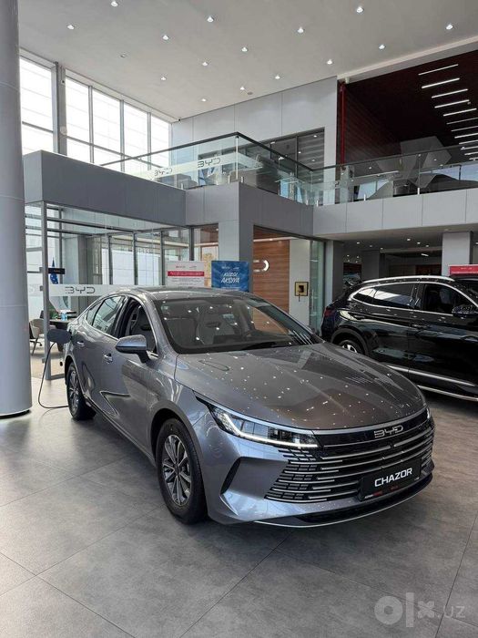 BYD Chazor Champion	55km Active успейте купить со скидкой