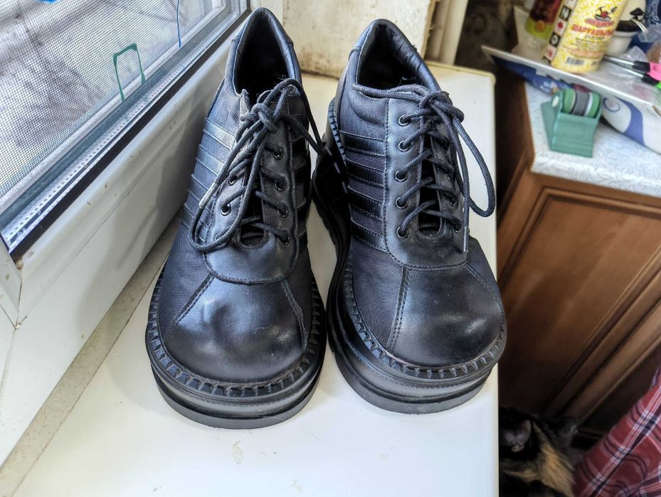 Демисезонные ботинки Demonia