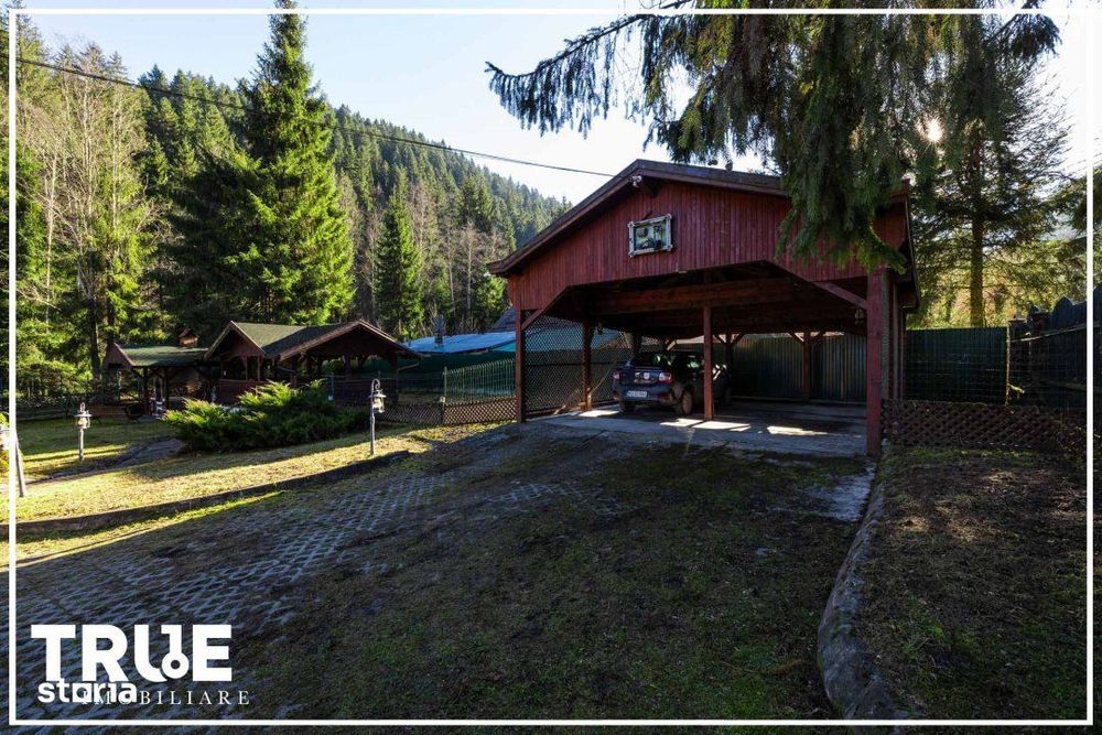 Cabană 210 m² + teren 1400 m² | Sălard, Mureș