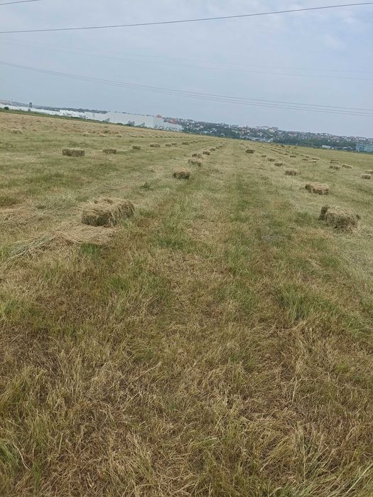 Baloti de vân de vanzare