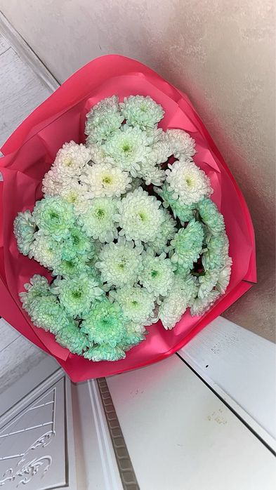 Срочно продам цветы, харизантемы