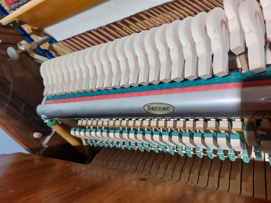 Pianina Nordiska [ transport gratuit, garanție)