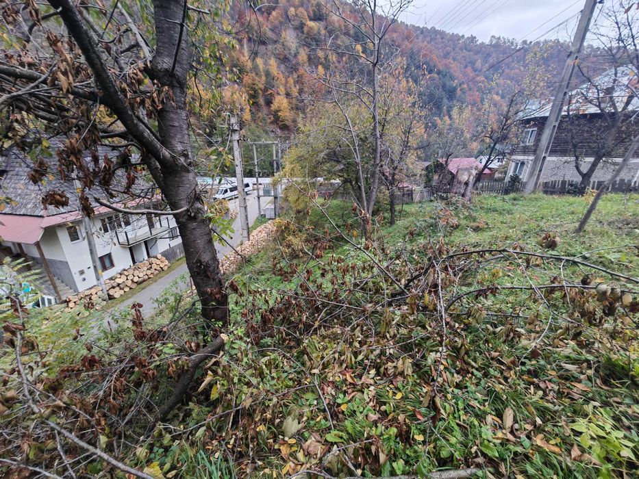 Teren 955mp intravilan Malaia Voineasa Vidra partia ski Transalpina