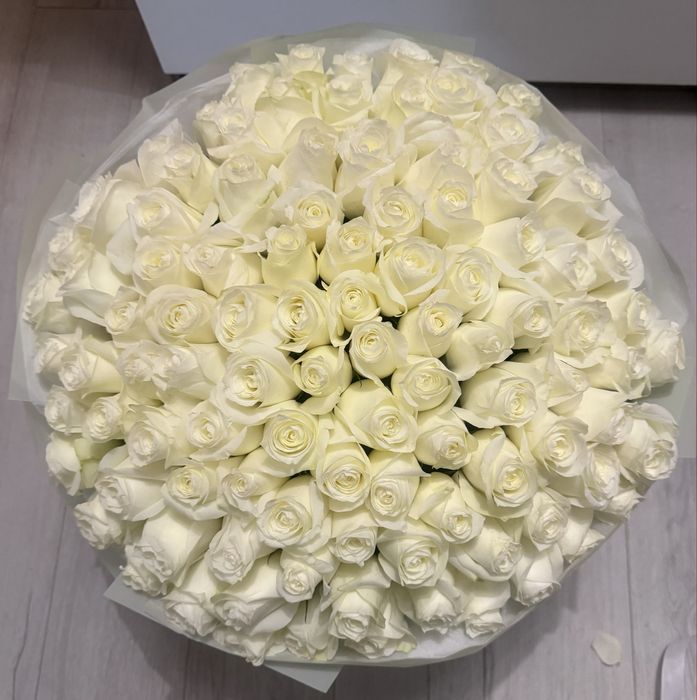 101 Роза, белые с оформлением 25.000