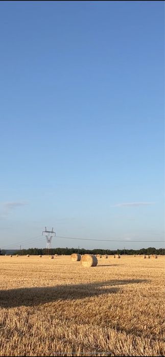 Baloti de paie mari presati ARGES