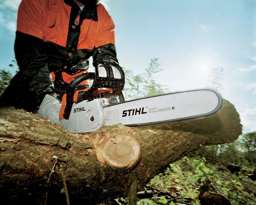 Спил дерева спил деревьев