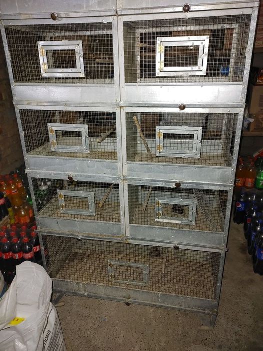 Кафас кушлар учун.