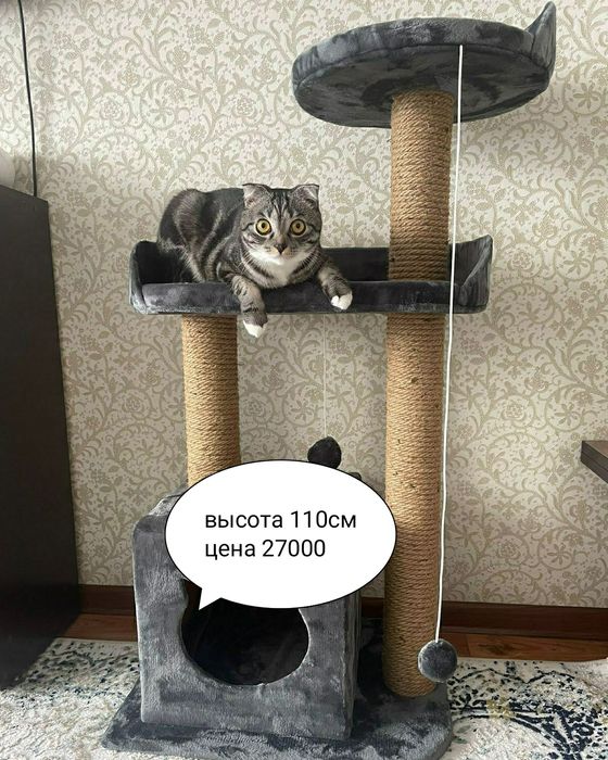 Царапалки для кошек