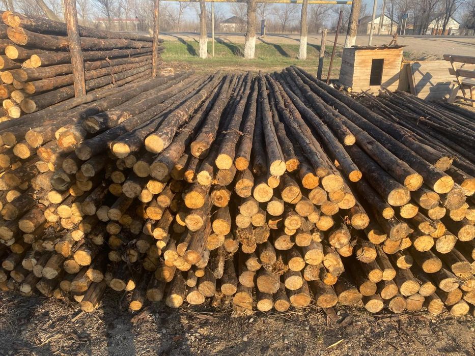 Рудстойка, кругляк