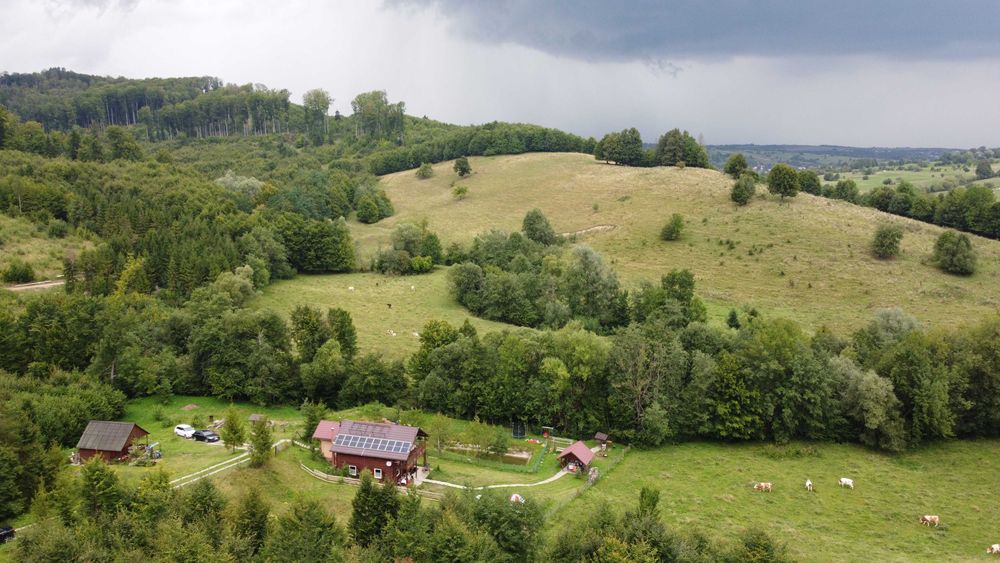 Cabană + 1,1 ha teren în Cacica | 150+ recenzii 5 stele