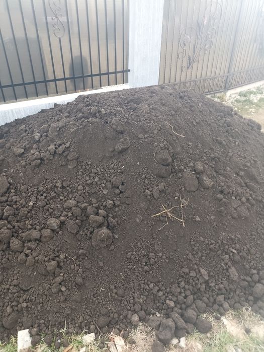 Pamant , pamant vegetal negru