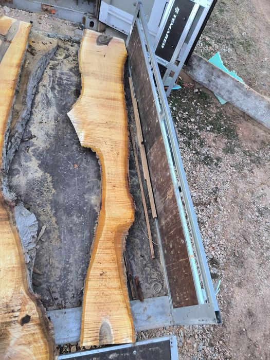 Орех разбичен на янове