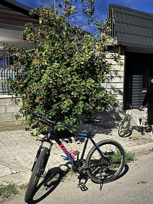 Тринкс велосипед