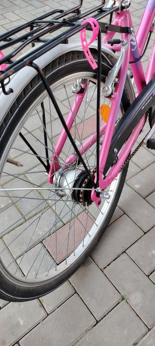 Pegasus roti 24, fete