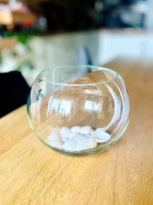 Малък стъклен аквариум за рибки - 5 литра