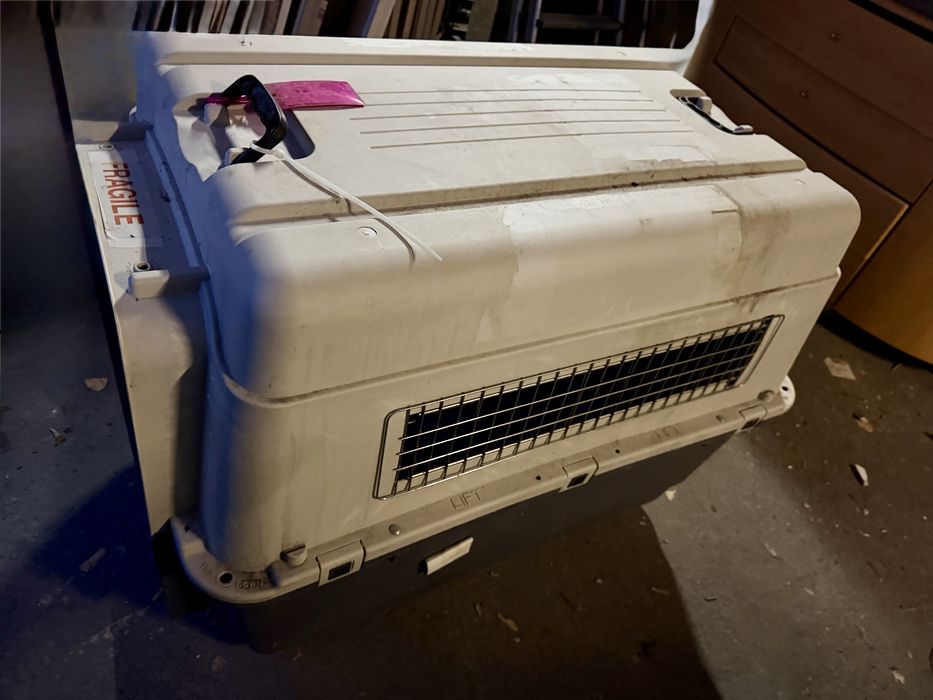 Животинска клетка