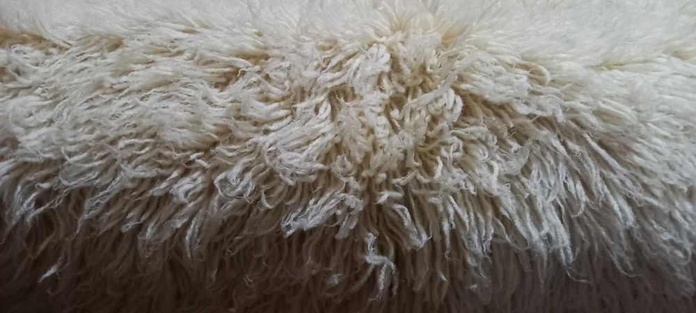 Уникален китеник, реснач, губер - неизползван