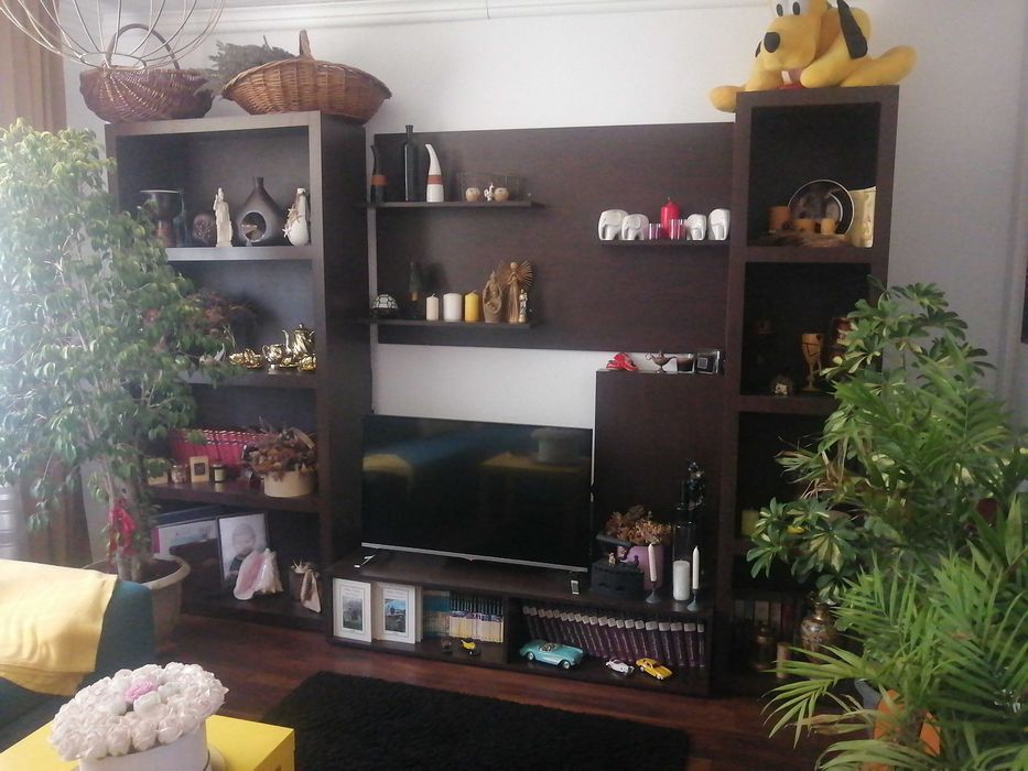 Mobilier living moderna făcută la comanda