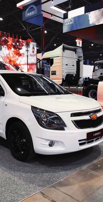 Coblt Midnicht ‼️ Srochna‼️26