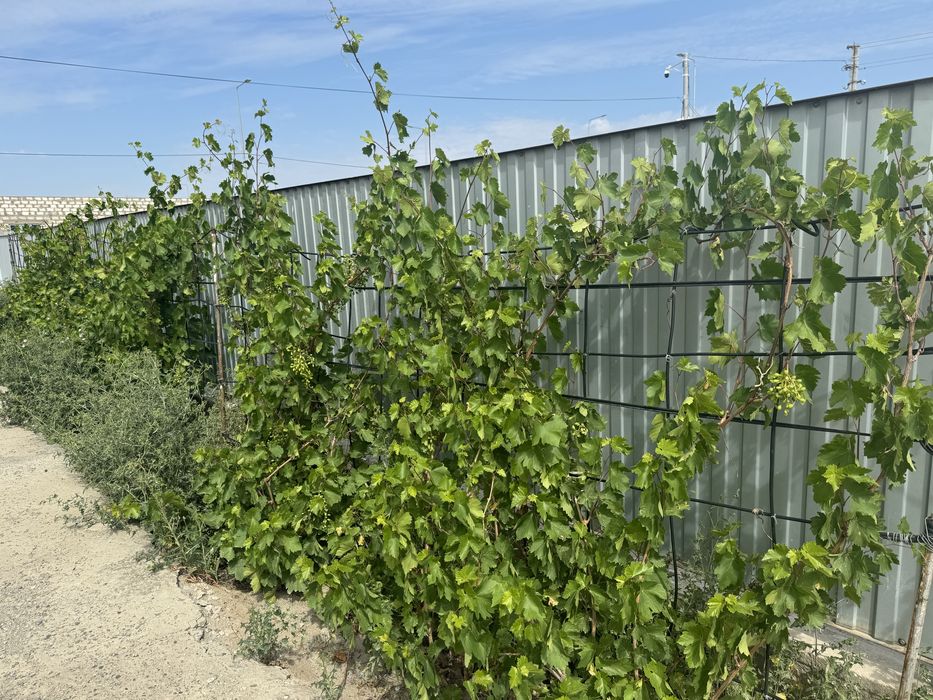 Ақжар-2ден 12*12 үлкен үй