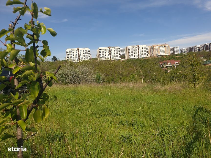 Teren intravilan IASI - COPOU - VITICULTORI - in vecinatatea padurii