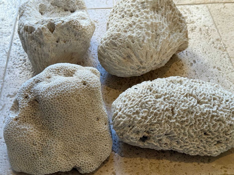 Piatra pentru acvariu marin(schelet coral), curățată, gata de folosit