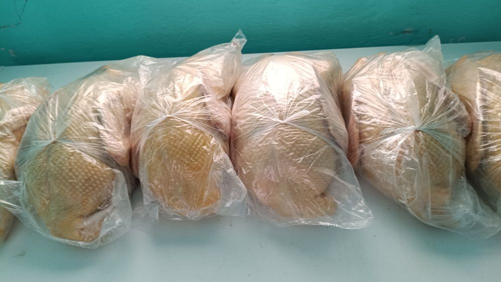 Продам домашних индоуток, очень вкусные!