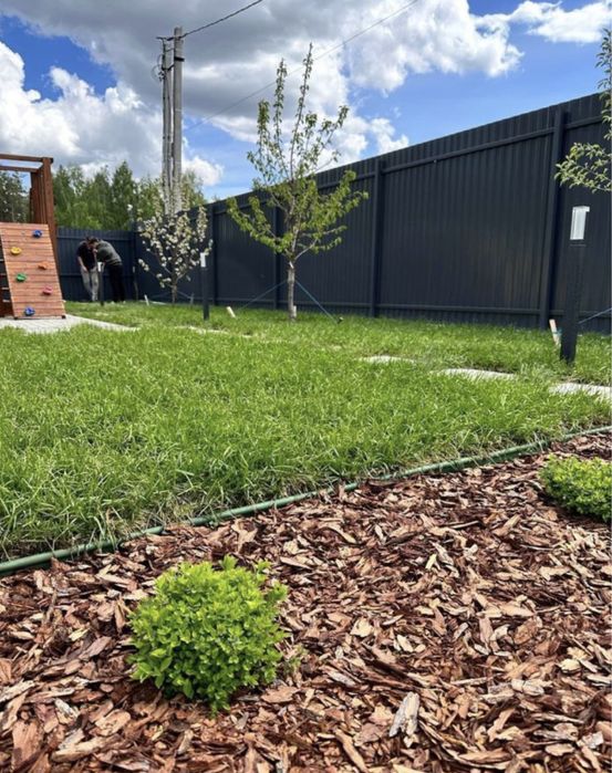 Посевной газон