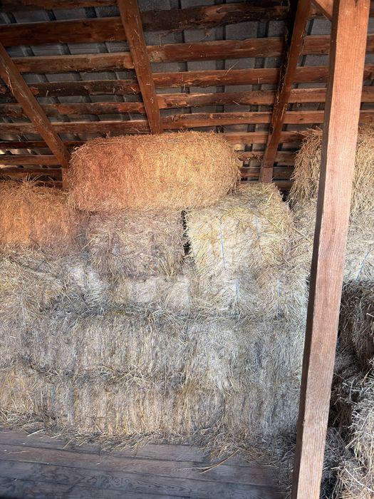 Vand baloti de lucerna