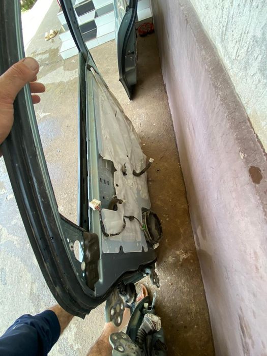 Ласстие дверь карские