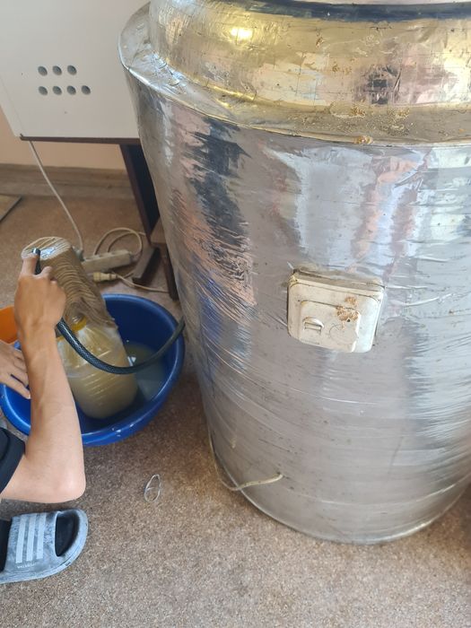 Продам Бактерии живые, свежие.
