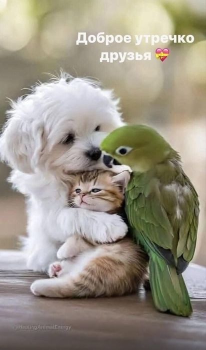 Мини книжки винтаж редкий