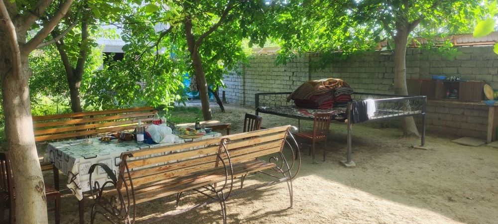 Аренда дачи Dacha arenda Qibray