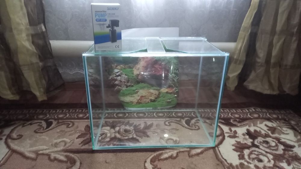 Продам рыбок  разные  красивые