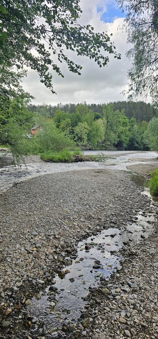 Cabana Valea Bratcutei