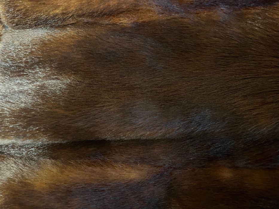 Кожено палто от бобър