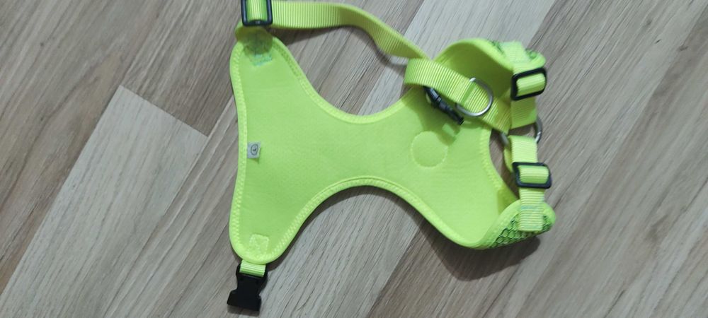 Ham  catel talie medie mare