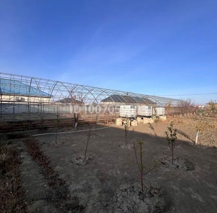 Продам теплицу  с катлом