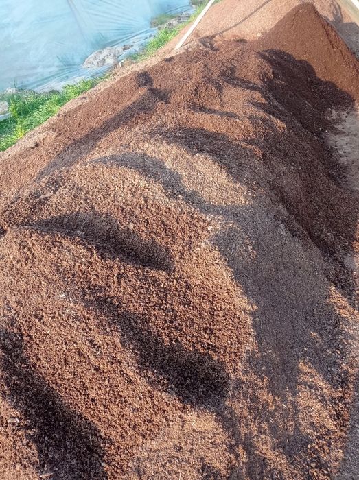 Sifatli bio goms bor