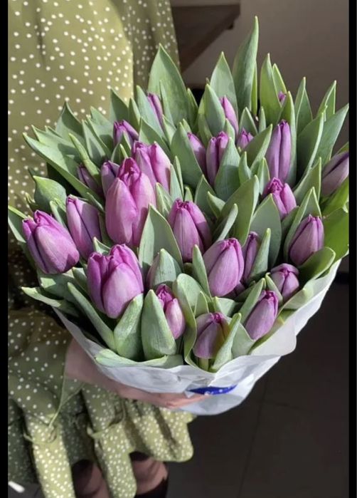 Тюльпаны к праздникам