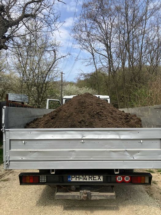 Pamant vegetal negru