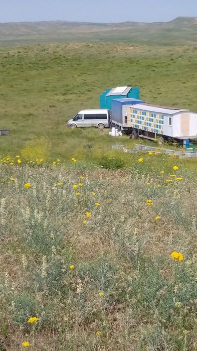 пчелопавелион на 112 улекав