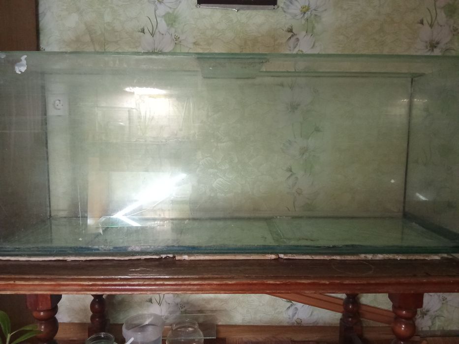 Аквариум аквариум