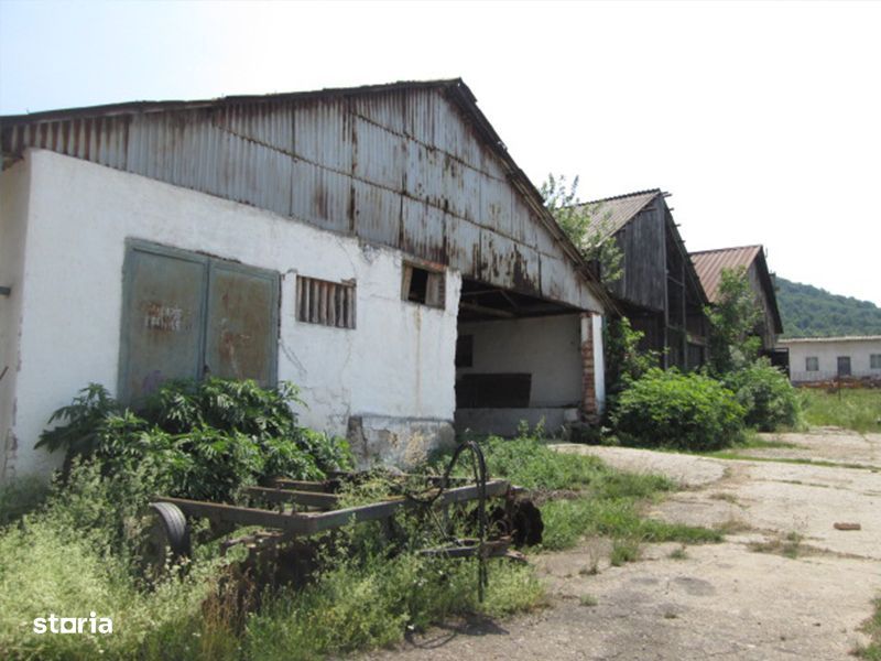 Teren agricol de 12 579 mp si contructii 5 161 mp