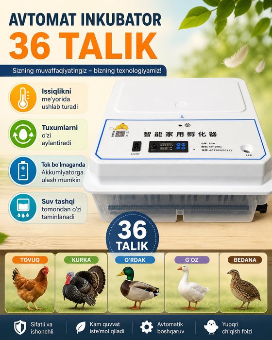 Inkubator Avtomat Sotiladi 36 talik Yangi