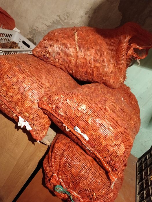 Продам сузофрукты