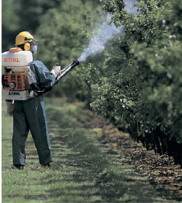 Опрыскивание и обработка деревьев