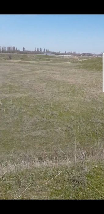 20Га земля село Береке