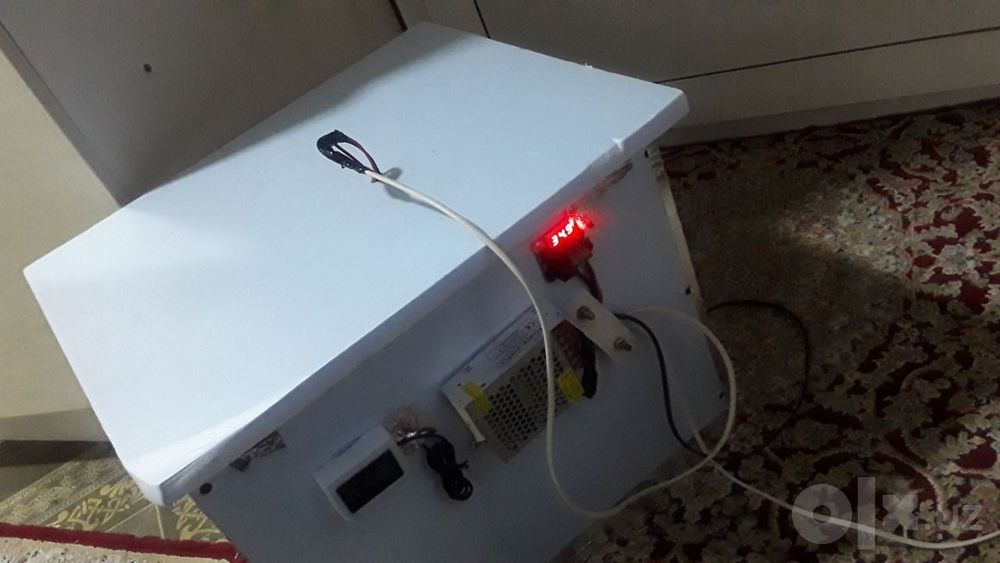 Zakazga inkubator yasab beramiz